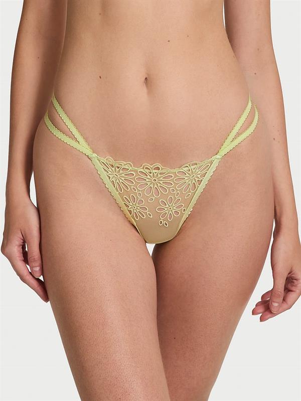 Fistolu Askili Tanga